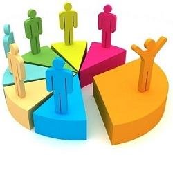 DANIELA MARKETING 88 SRL, CUI 29010142